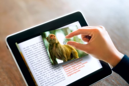 Univ. of Minnesota Press Gets Interactive with Scholarly Books